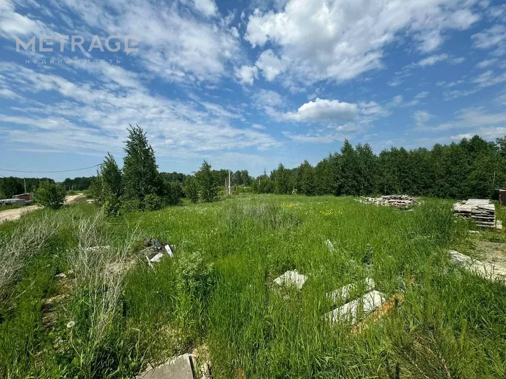 Участок в Новосибирская область, Новосибирский район, Станционный ... - Фото 1