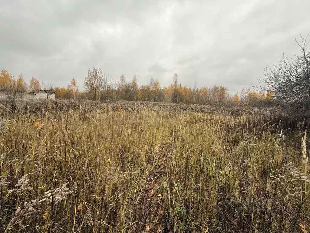 Участок в Брянская область, Брянский район, Добрунское с/пос, БЭМЗ СДТ ... - Фото 1