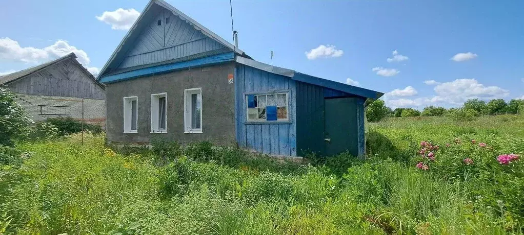 Дом в Пензенская область, Городищенский район, с. Николо-Райское ... - Фото 0