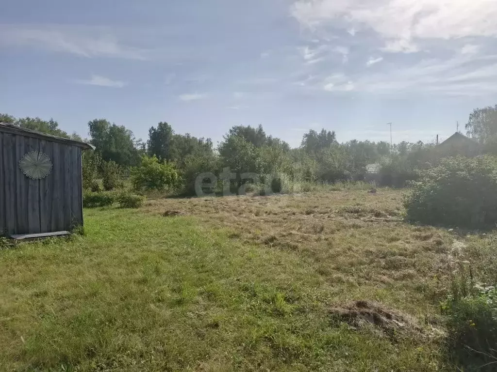 Участок в Челябинская область, Пласт ул. Фермеров, 7 (20.0 сот.) - Фото 1