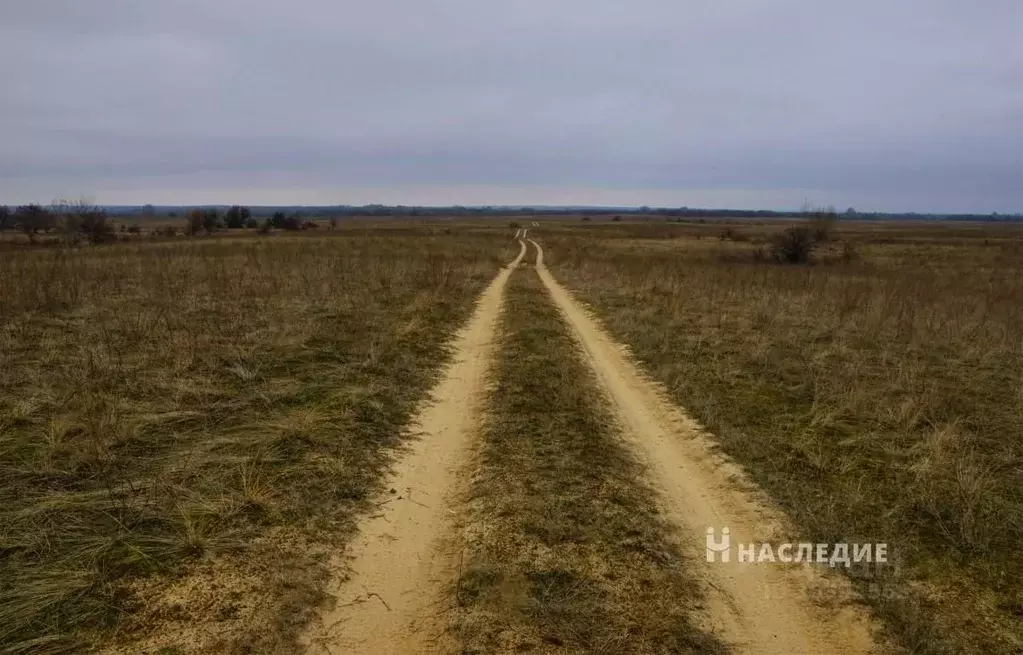 Участок в Ростовская область, Белокалитвинское городское поселение, ... - Фото 1