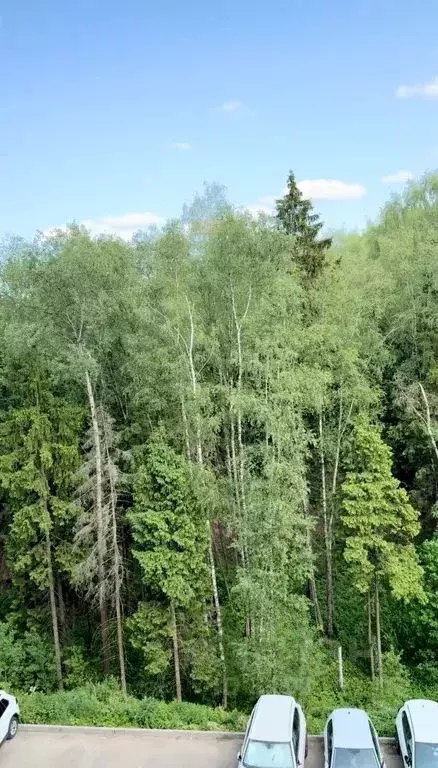 1-к кв. Московская область, Одинцово Новая Трехгорка мкр, ул. ... - Фото 1