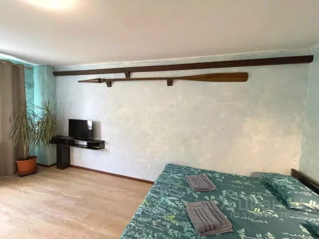 1-к кв. Псковская область, Псков Завеличье исторический район, ул. ... - Фото 2