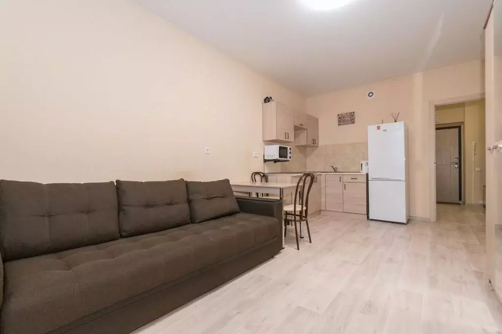 Студия Новосибирская область, Новосибирск Красный просп., 305 (27.0 м) - Фото 1