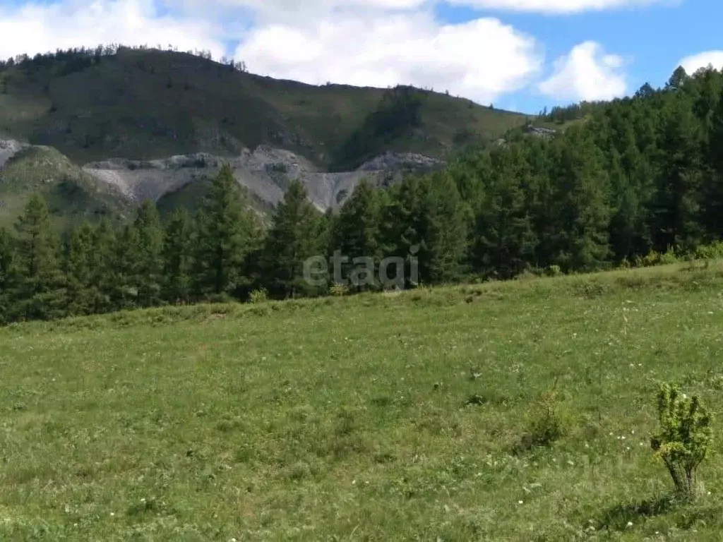 Участок в Алтай, Онгудайский район, с. Хабаровка  (518.6 сот.) - Фото 0