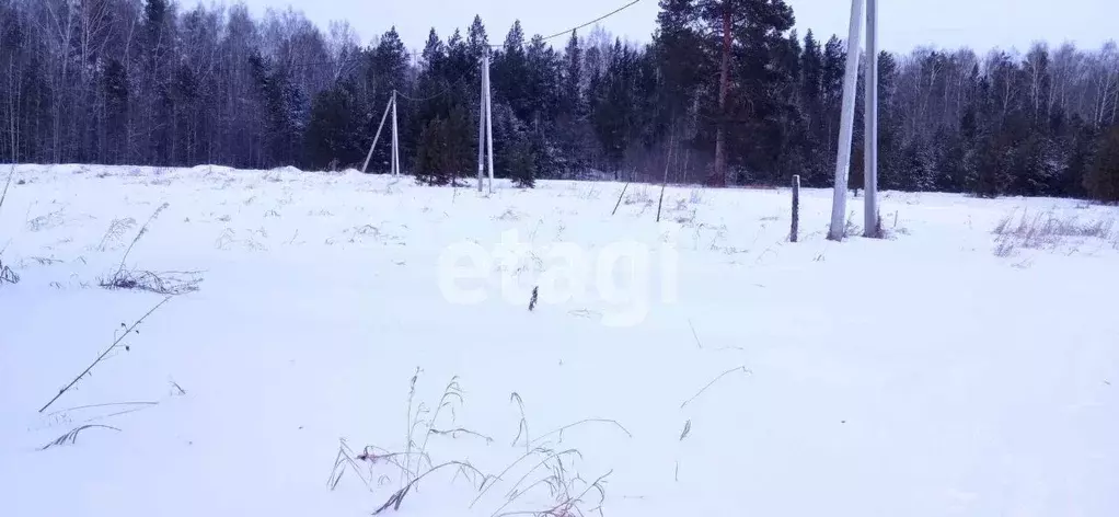 Дом в Тюменская область, Нижнетавдинский район, с. Тюнево ул. ... - Фото 1