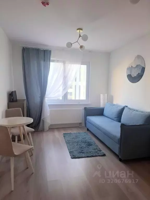 Студия Санкт-Петербург ул. Пахомовская, 14к2 (21.0 м) - Фото 1