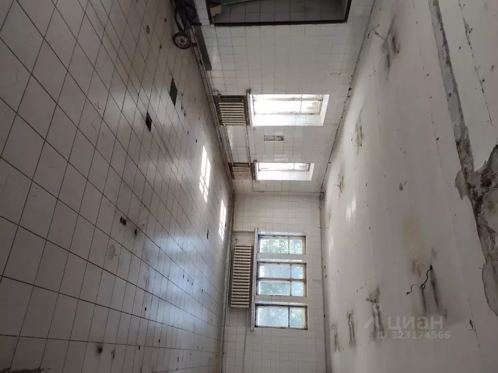 Помещение свободного назначения в Омская область, Омск ул. 2-я ... - Фото 2