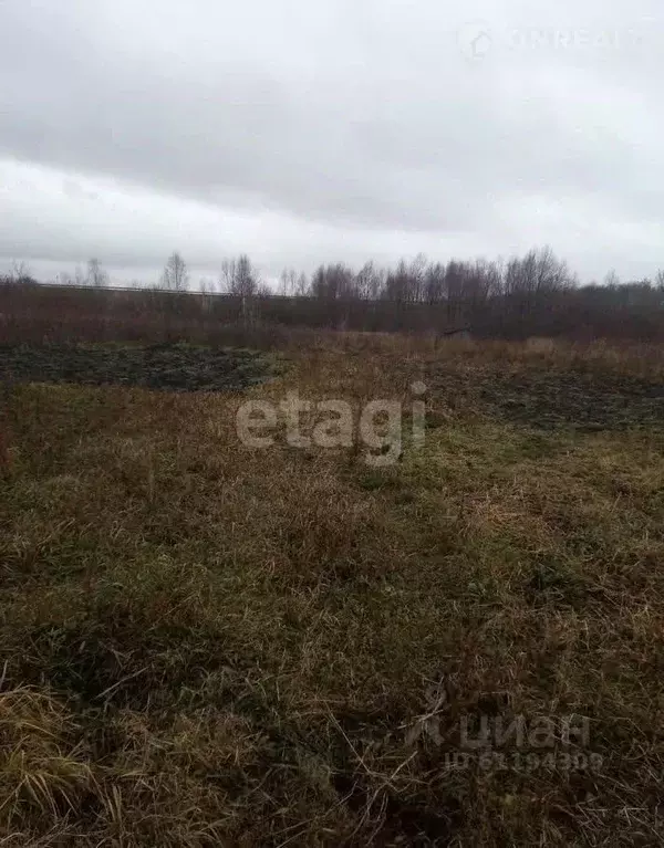 Участок в Мордовия, Саранск городской округ, Луховка рп ул. Садовая ... - Фото 1