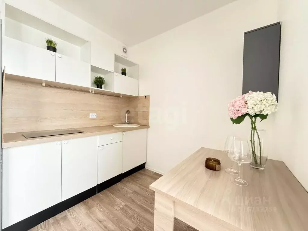 Студия Санкт-Петербург дор. Муринская, 8к2 (20.0 м) - Фото 0