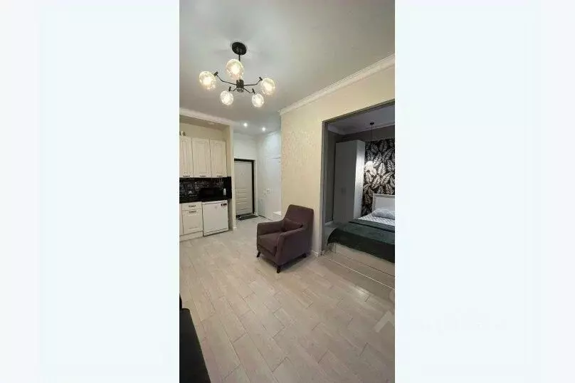 1-к кв. Краснодарский край, Сочи ул. Кирова, 35 (38.0 м) - Фото 1