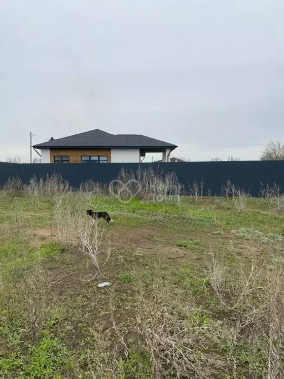 Участок в Волгоградская область, Среднеахтубинский район, Ахтубинское ... - Фото 0