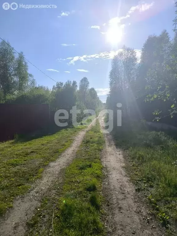 Участок в Тюменская область, Нижнетавдинский муниципальный округ, СНТ ... - Фото 2