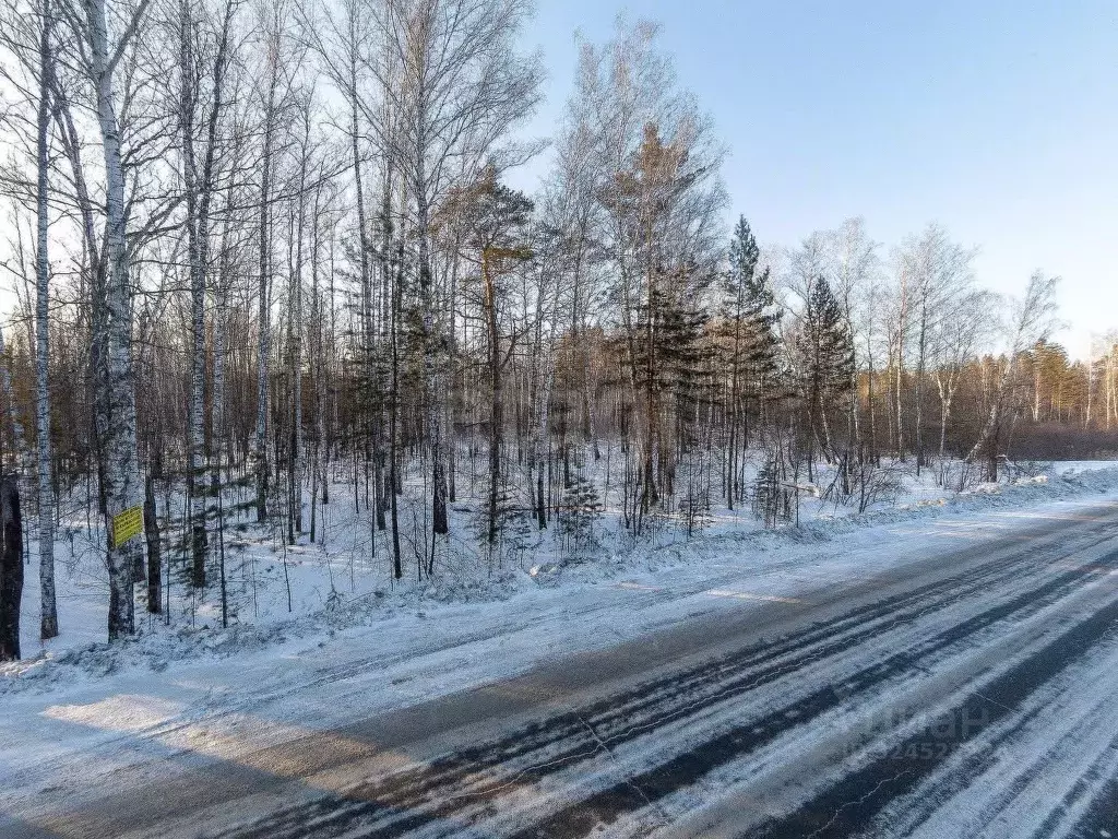 Участок в Тюменская область, Нижнетавдинский муниципальный округ, ... - Фото 1