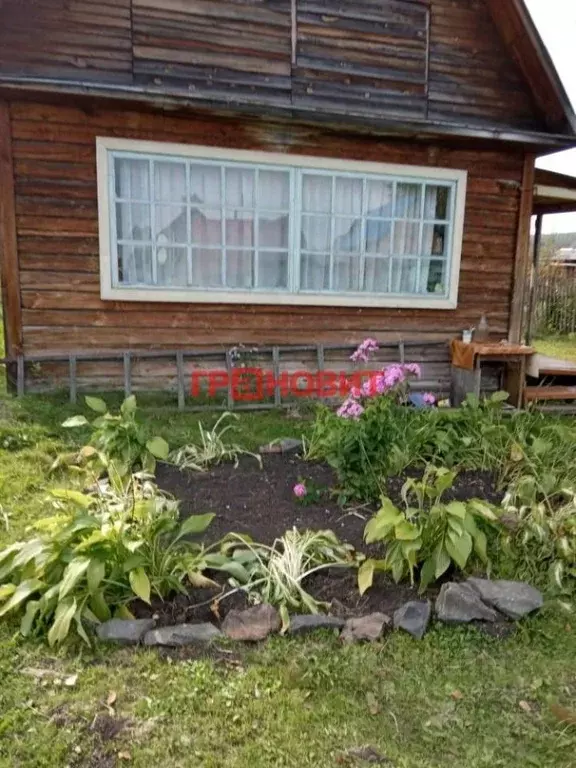 Дом в Новосибирская область, Тогучинский район, Сигнал садовое ... - Фото 0
