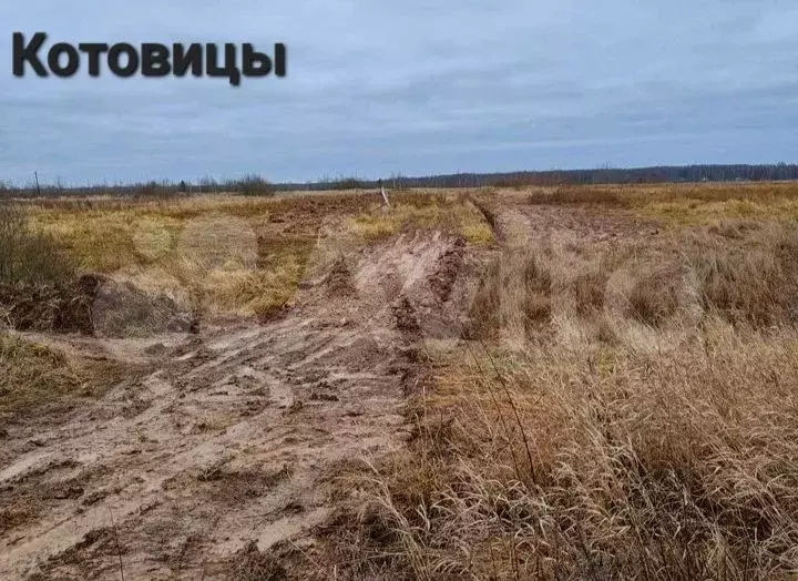 Участок 17 сот. (СНТ, ДНП) - Фото 1