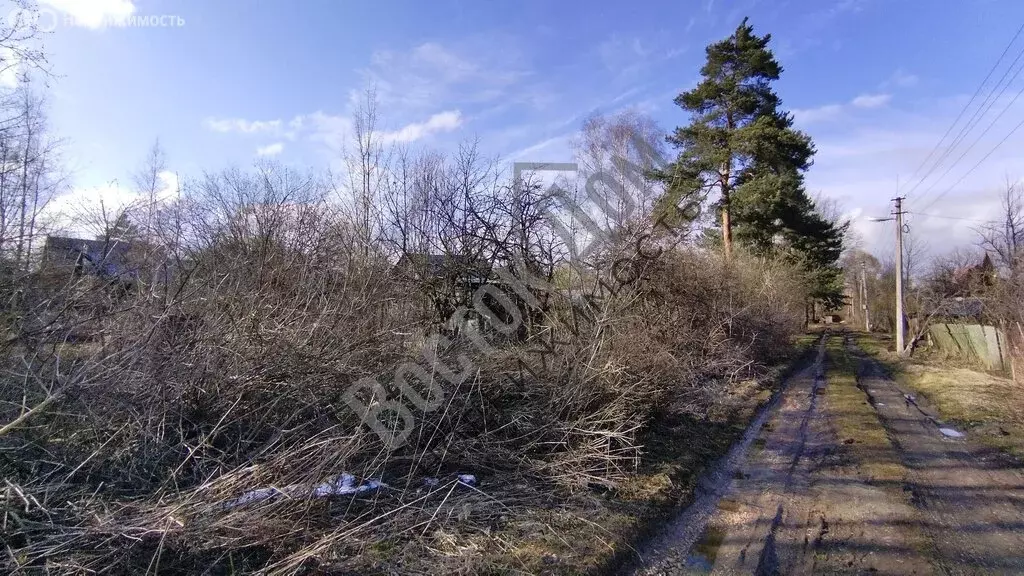 Участок в Богородский городской округ, СНТ Радист (8 м) - Фото 1