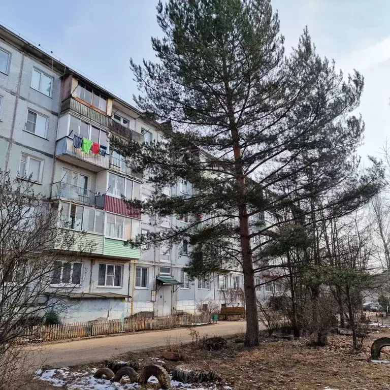 2-к кв. Калужская область, Боровск Фабричный пер., 2 (48.3 м) - Фото 0