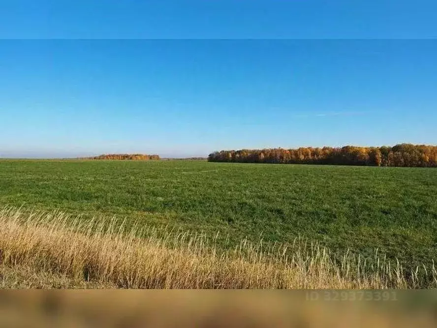 Участок в Смоленская область, Рославльский муниципальный округ, д. ... - Фото 1
