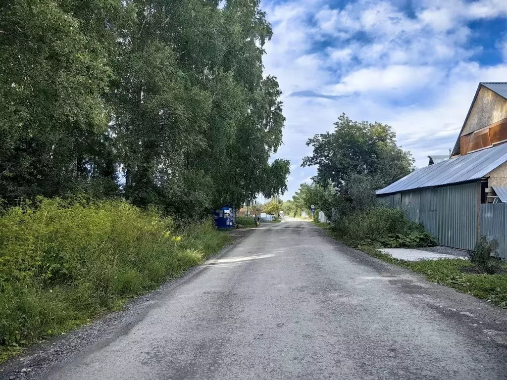 Участок в Новосибирская область, Новосибирский район, Барышевский ... - Фото 0