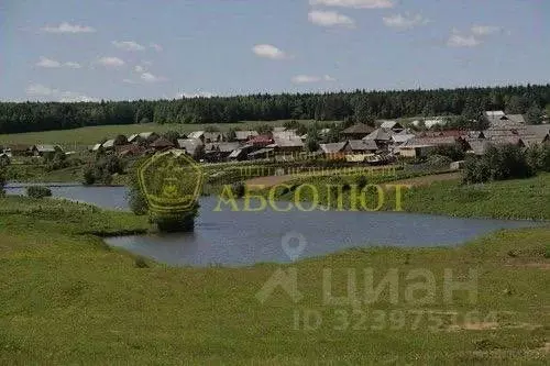 Участок в Свердловская область, Ачитский муниципальный округ, д. Лямпа ... - Фото 2