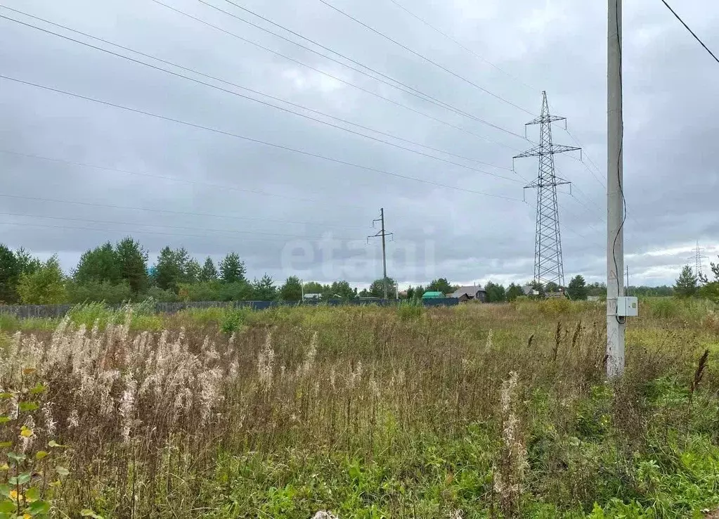 Участок в Кировская область, Кирово-Чепецкий район, Пасеговское с/пос, ... - Фото 1