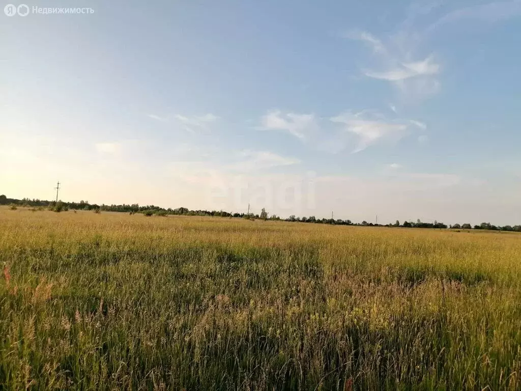 Участок в Калининградская область, Черняховский муниципальный округ, ... - Фото 2