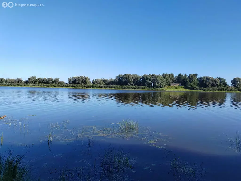 Участок в Бронницкое сельское поселение, деревня Белая Гора (20 м) - Фото 0