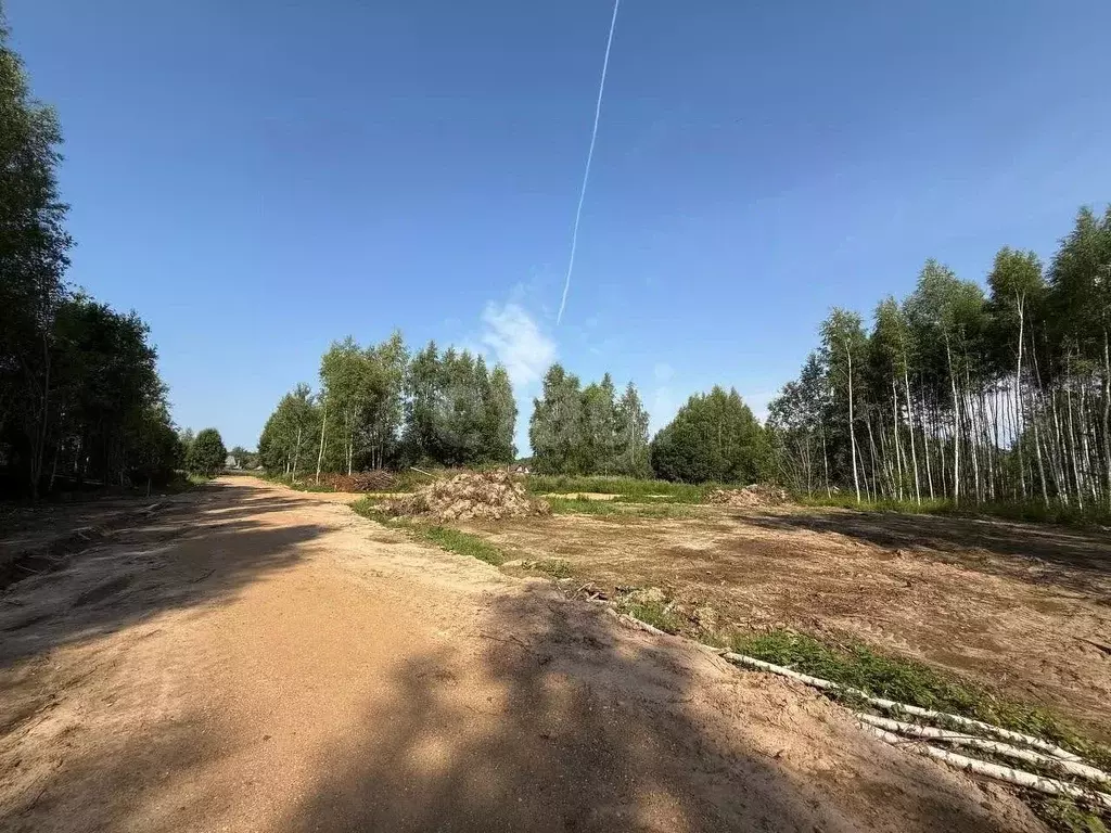 Участок в Костромская область, Красносельский район, Боровиковское ... - Фото 0