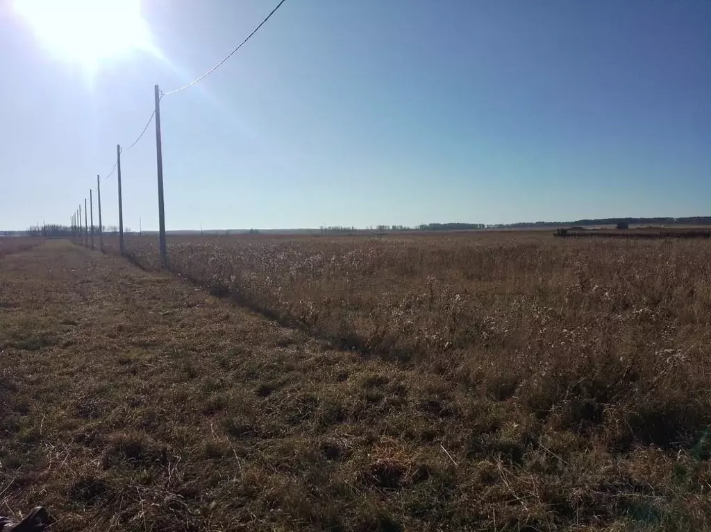 Участок в Красноярский край, Емельяновский муниципальный округ, с. ... - Фото 2