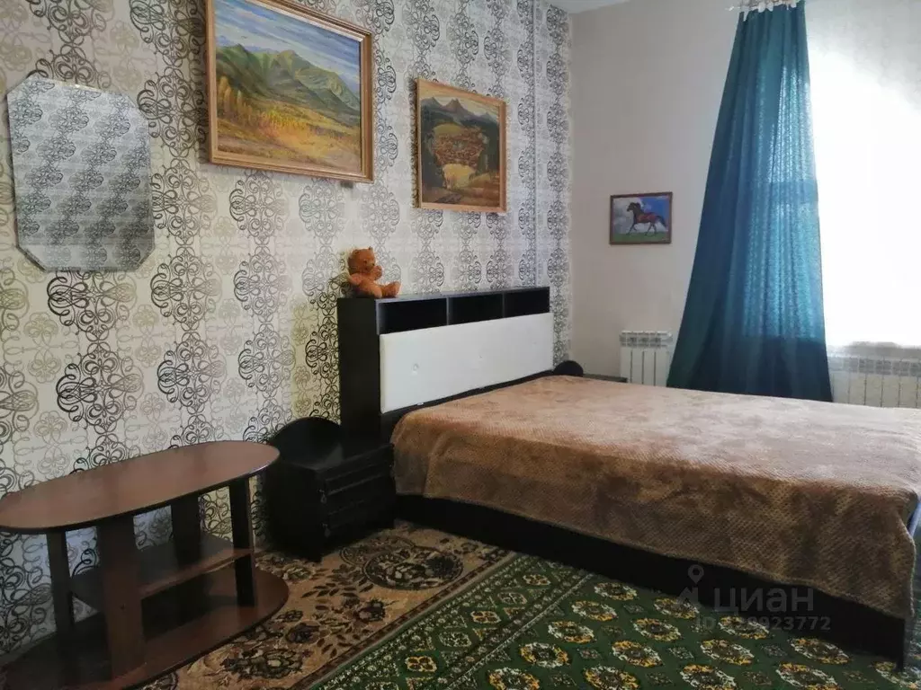 Комната Башкортостан, Белорецк Рябиновая ул., 1 (20.0 м) - Фото 1