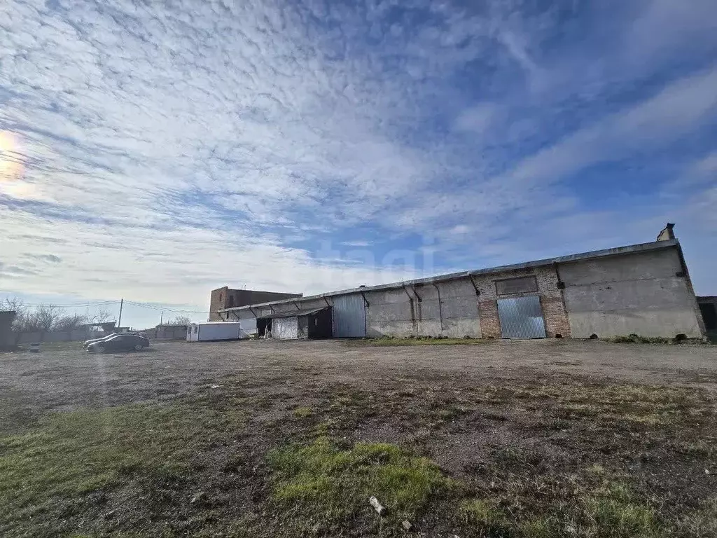 Склад в Курская область, Октябрьский район, Лобазовский сельсовет, с. ... - Фото 1