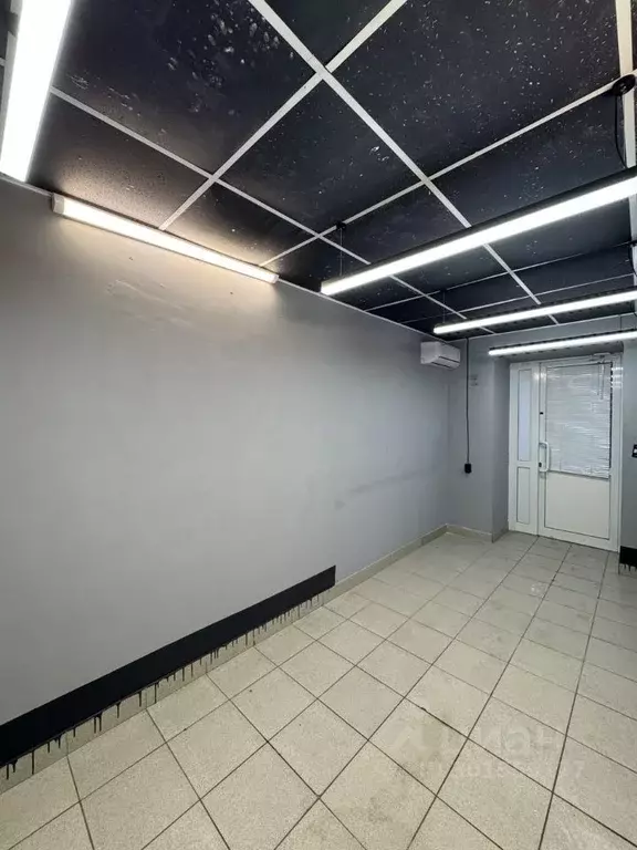 Офис в Татарстан, Казань просп. Ибрагимова, 39 (14 м) - Фото 2