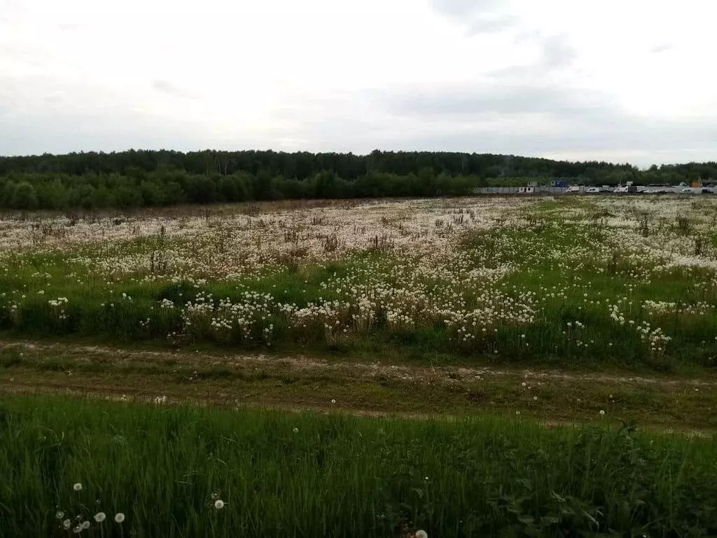 Участок в Ленинский городской округ, село Булатниково (71 м) - Фото 0