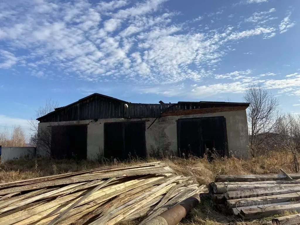 Помещение свободного назначения в Тюменская область, с. Аромашево ул. ... - Фото 0