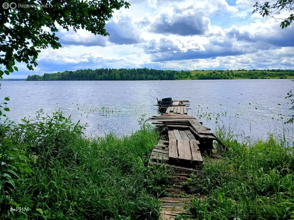Дом в Вологодская область, Шекснинский муниципальный округ, деревня ... - Фото 1