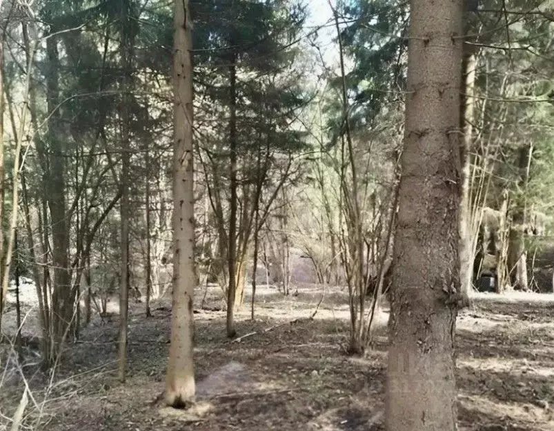 Участок в Московская область, Дмитровский муниципальный округ, д. ... - Фото 0