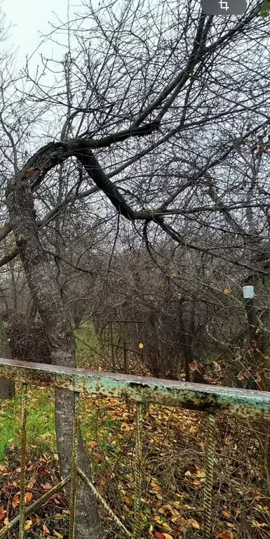 Дом 25,7 м на участке 18 сот. - Фото 0