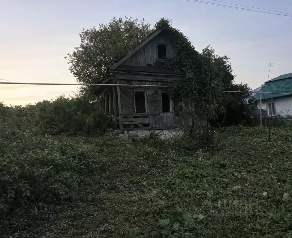 Участок в Нижегородская область, Богородский муниципальный округ, с. ... - Фото 2