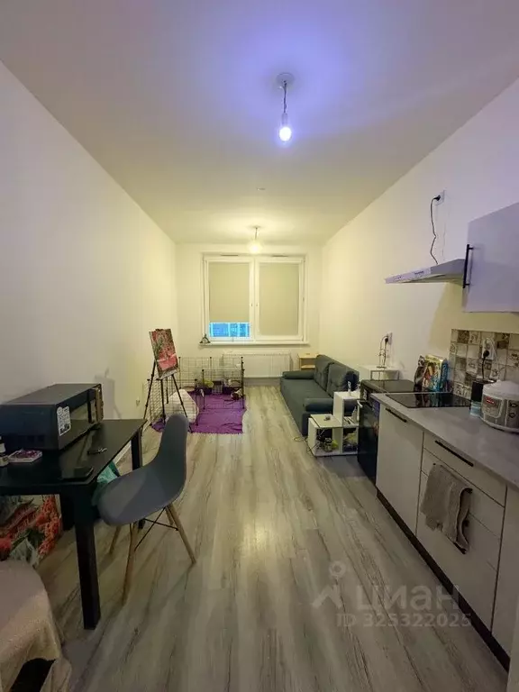 Студия Ленинградская область, Всеволожский район, пос. Бугры ул. ... - Фото 1