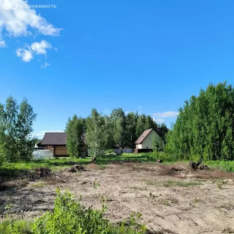Участок в Нижнетавдинский район, садоводческое некоммерческое ... - Фото 0