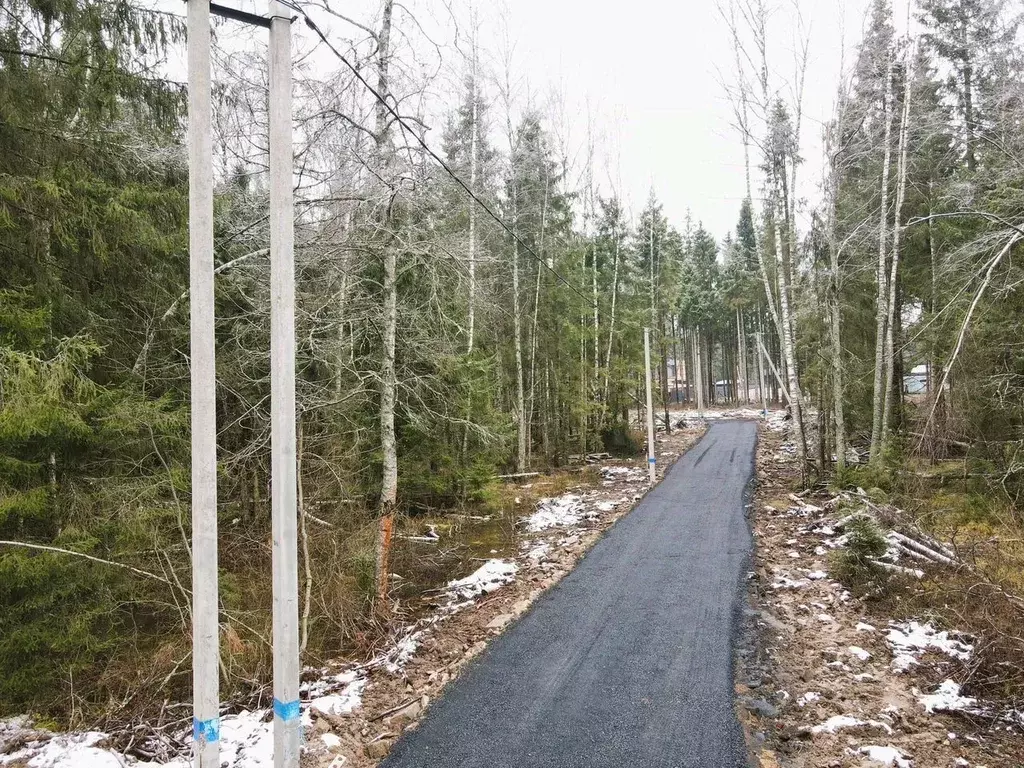 Участок в Московская область, Дмитровский муниципальный округ, ... - Фото 2