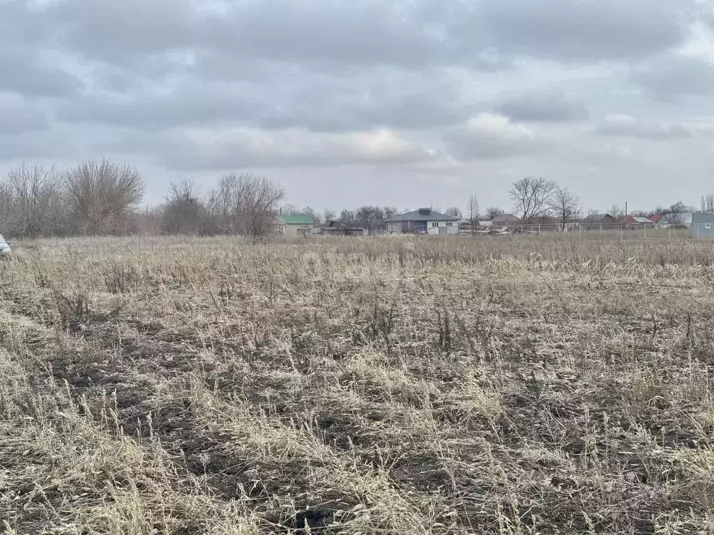 Участок в Воронежская область, Новоусманский район, ... - Фото 1