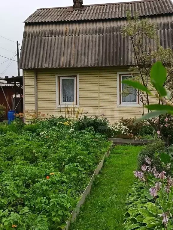 Дом в Свердловская область, Нижний Тагил Черемушки СНТ,  (34 м) - Фото 1