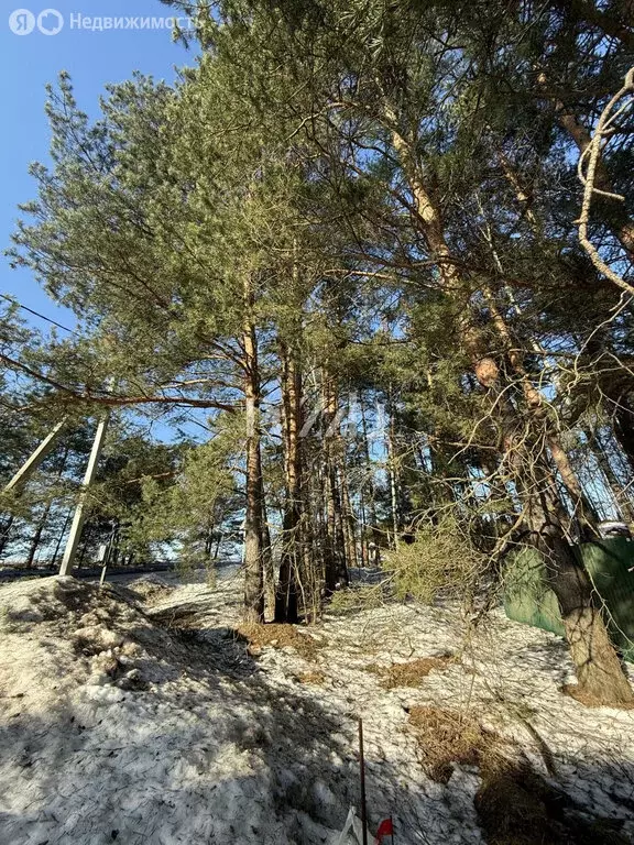 Участок в Одинцовский городской округ, село Иславское (27.16 м) - Фото 1