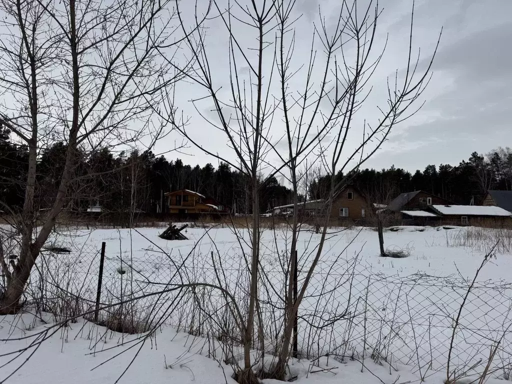 Участок в Алтай, Майминский район, Манжерокское с/пос, с. Озерное ул. ... - Фото 2
