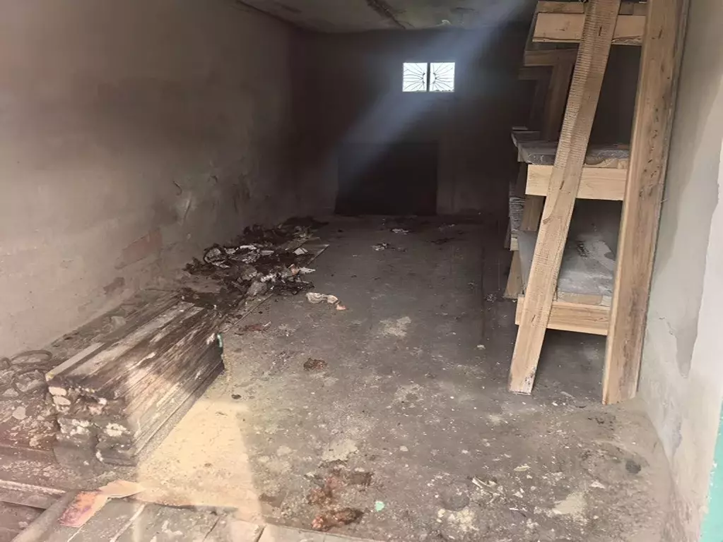 Гараж в Новосибирская область, Бердск Промышленная ул. (24 м) - Фото 0