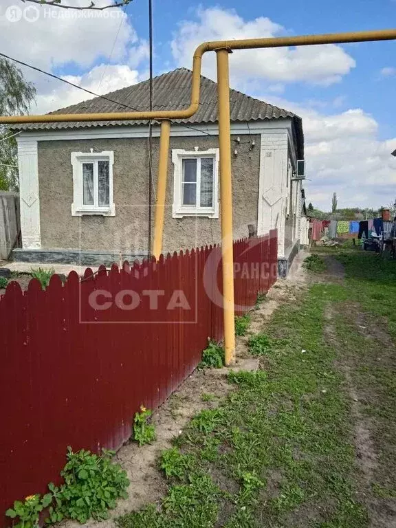 дом в воронежская область, село верхняя хава (55 м) - Фото 1