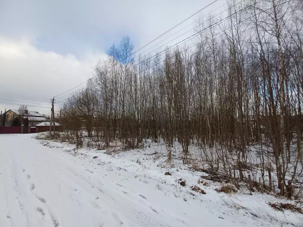 Участок в Московская область, Краснозаводск Сергиево-Посадский район, ... - Фото 0