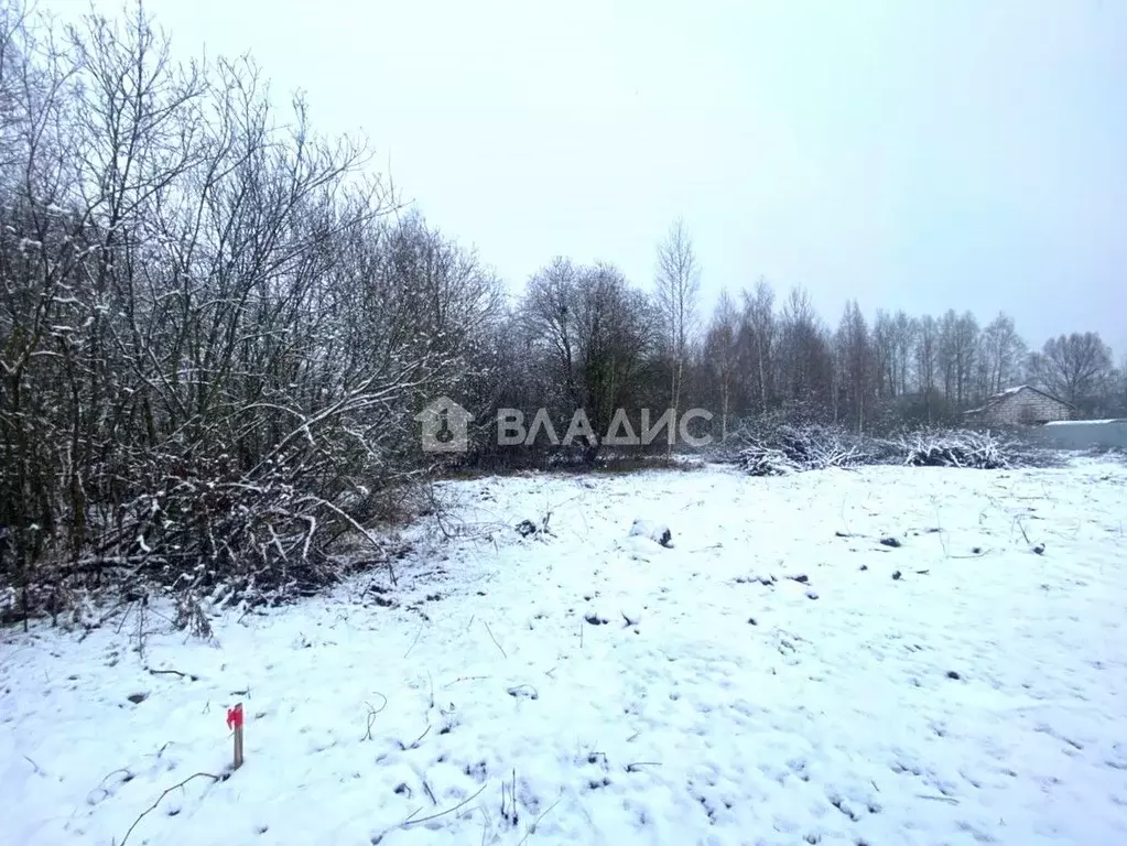 Участок в Владимирская область, Собинский муниципальный округ, д. ... - Фото 1
